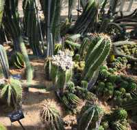 深圳仙湖植物公園