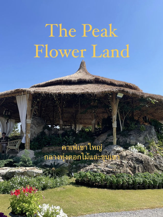 The Peak Flower Land 🌸 เขาใหญ่ 💖