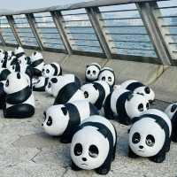 PANDA GO！香港-聖誕必去，逾2000隻大熊貓雕塑萌爆香港