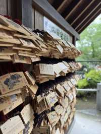 【群馬】花手水がとても綺麗!!御神水も頂ける神社