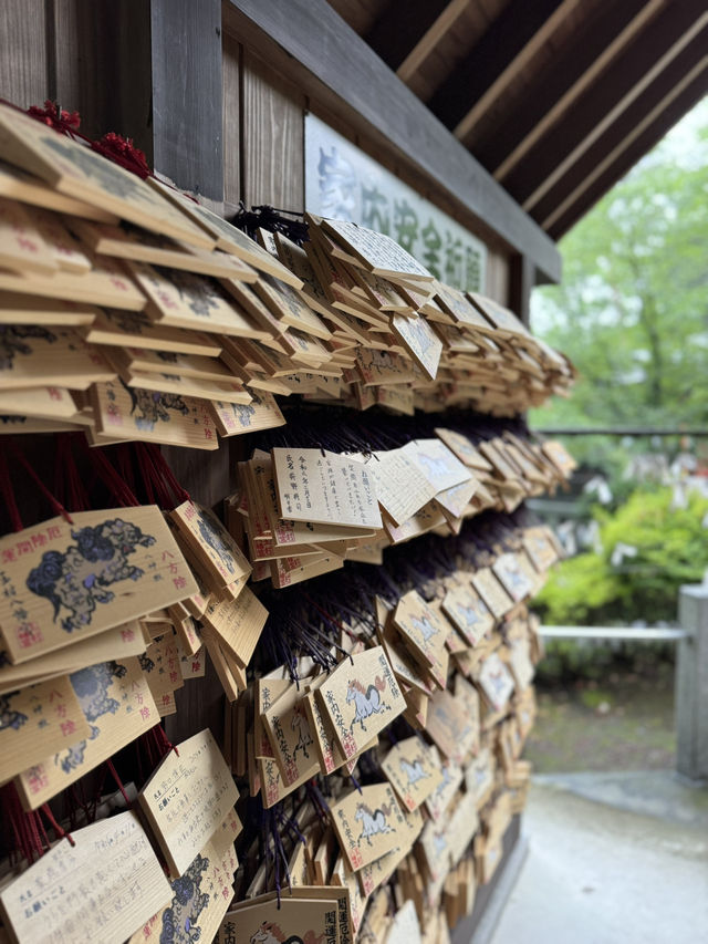 【群馬】花手水がとても綺麗!!御神水も頂ける神社