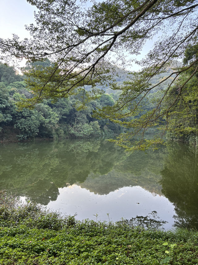 Serene Escape in Dongguan 🪷🌴🌳