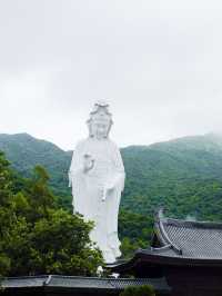Finding Peace at Tsz Shan Monastery: A Spiritual Retreat