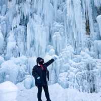ฮาร์บิ้น ไปเองไม่ง้อทัวร์ แต่ง้อtrip.com