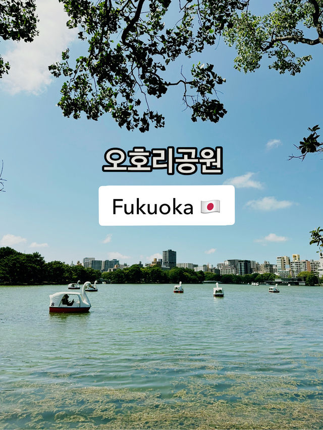 후쿠오카의 심장, 오호리공원을 다녀왔어요! 🌳✨