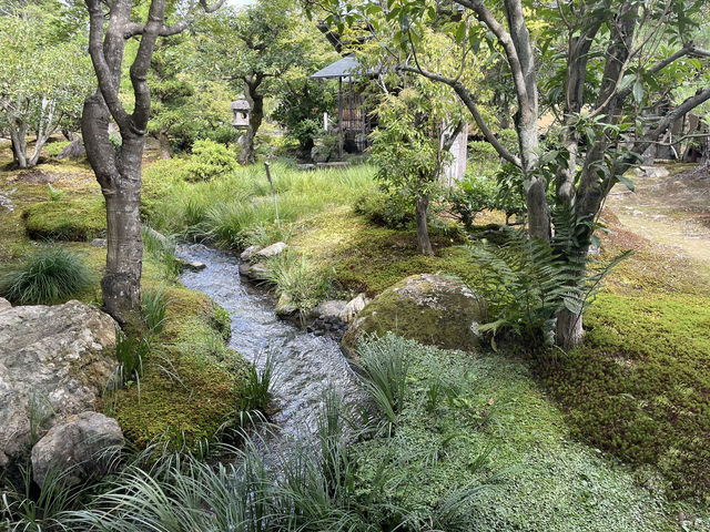 京都　天龍寺