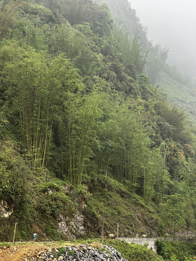 Ultimate Escape at Arista Homestay Lao Cai, Sapa