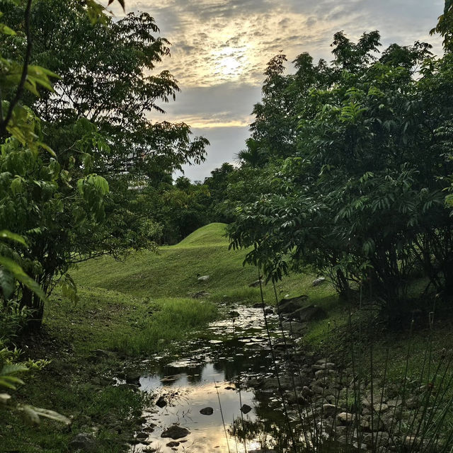 Jurong Lake Gardens: A Peaceful Retreat in Singapore