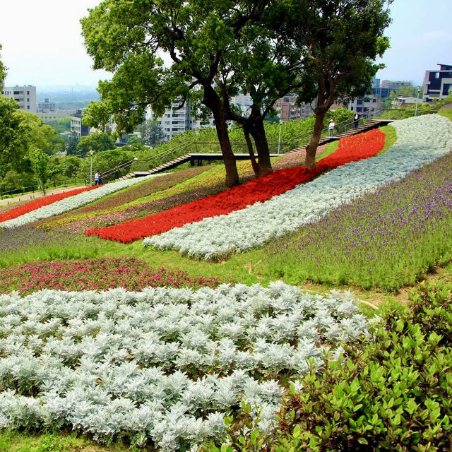 三層崎公園-五彩繽紛花田美麗景致，被譽為「台版富良野」
