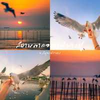 #มัดรวมที่เที่ยว "เที่ยวใกล้กรุง" 