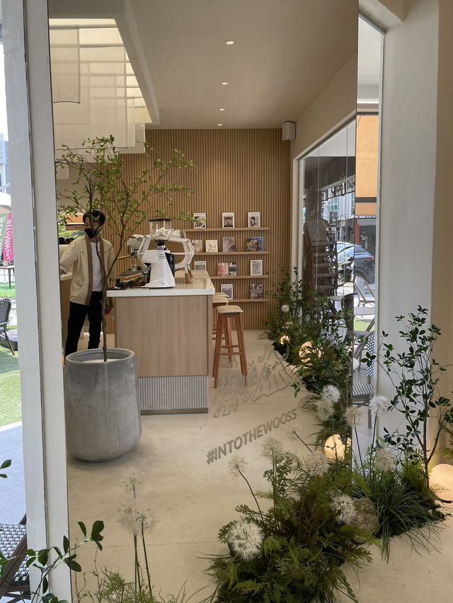 Brews & Bliss: A Cozy Tea Date at Woss Café 🌳