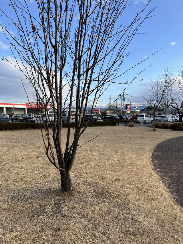【佐久市🇯🇵】買い物の休憩にほっと一息できる公園⛲️