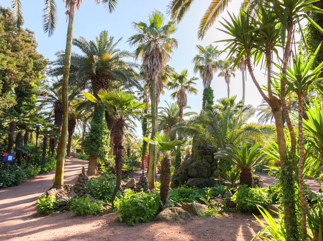 쥬라기월드에 온 것 같은 이국적인 제주 상가리 야자숲🌴