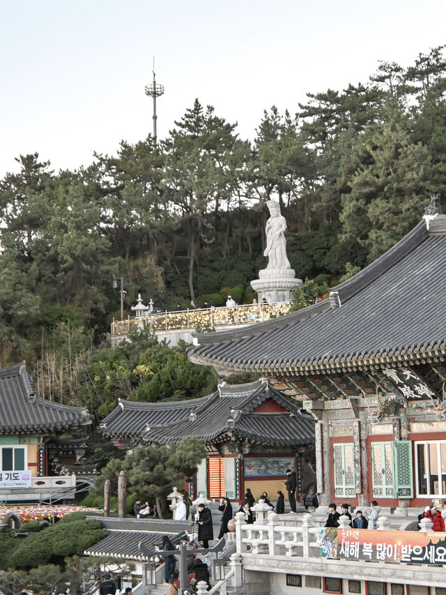 【釜山】美しい海のお寺 海東龍宮寺