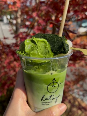 8108 Kyoto: Thick Matcha by the Katsura River in Arashiyama | Trip