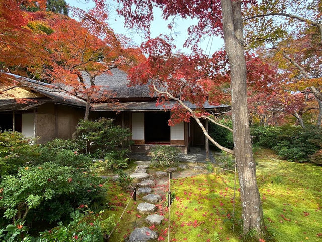 ☾︎京都☽︎ 洗練された静かで美しい日本庭園