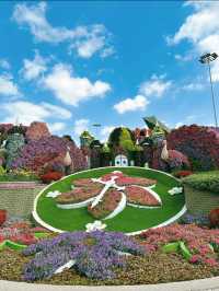 An awesome day spent at Dubai miracle garden 🪴 