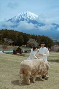 A Day at Makaino Farm – Fujinomiya, Shizuoka