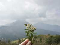 Into the Mist: The Enchanting Hike Up Sunset Peak