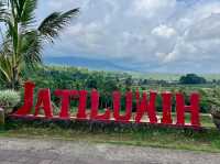Jatiluwih Rice Terraces
