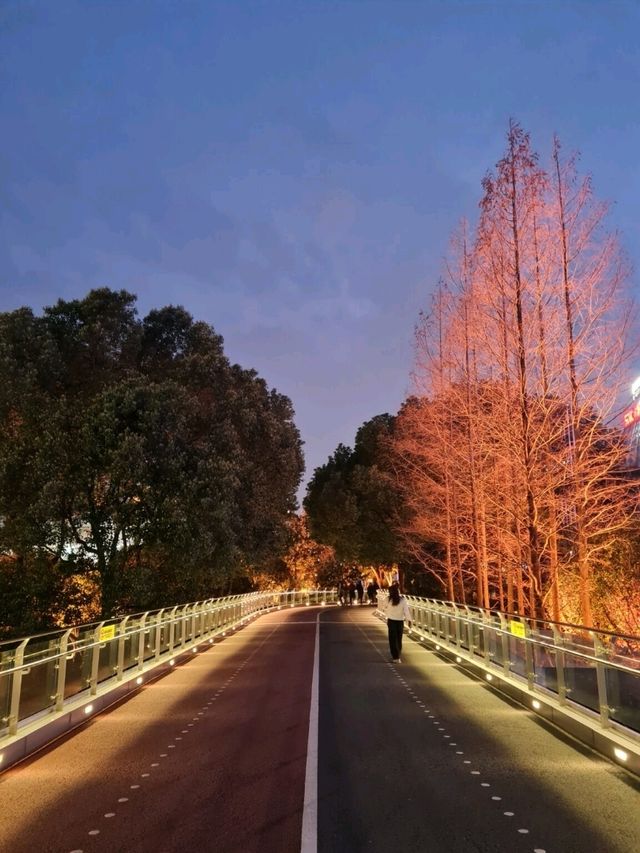 Shanghai's Hidden Gem