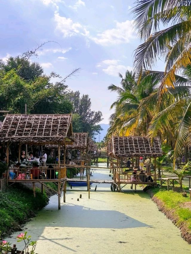 Coconut Market 清邁周末限定的「椰林市集」