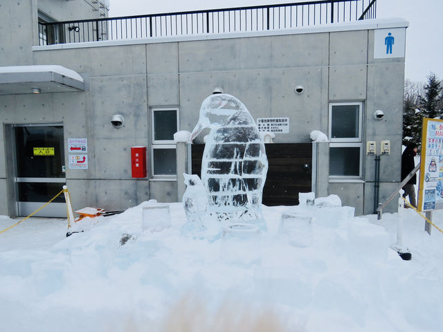 🇯🇵 北海道雪地上的企鵝遊行🐧