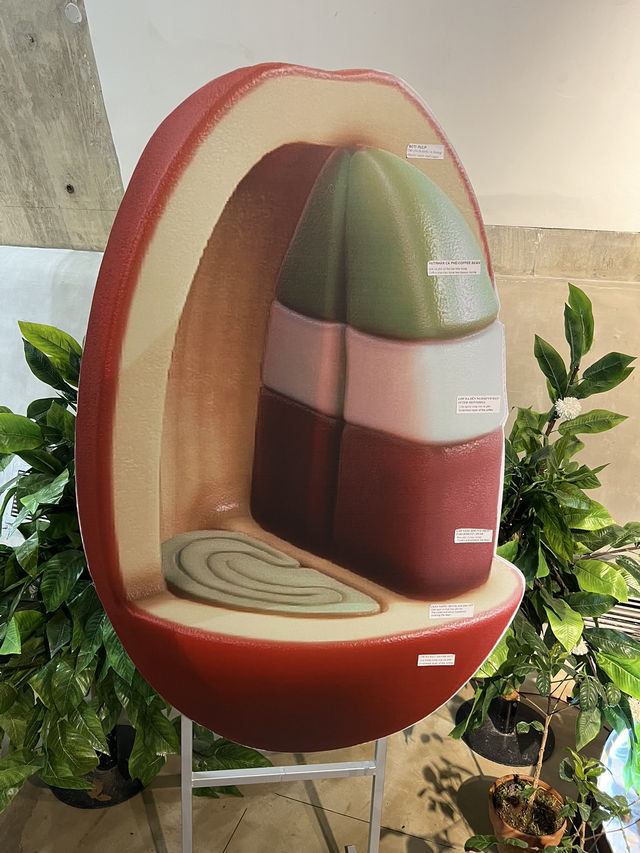 走跳世界之邦美蜀-世界咖啡博物館