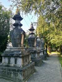 Dali Zhangjia Garden