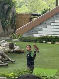 Bird Paradise Singapore: A Must-Visit for Nature & Wildlife Lovers