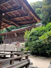 悠閒的歷史與茶香之旅（下）