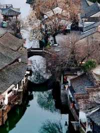 Step Back in Time: Your Ultimate Guide to Xinshi Ancient Town!