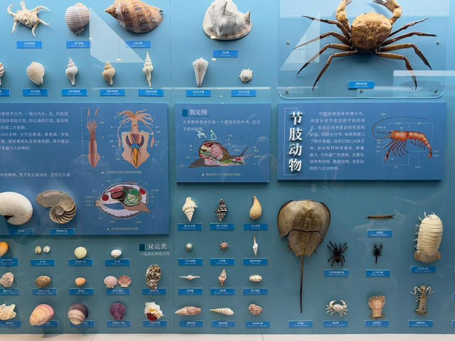 중국 베이징 자연사 박물관 입니다. 