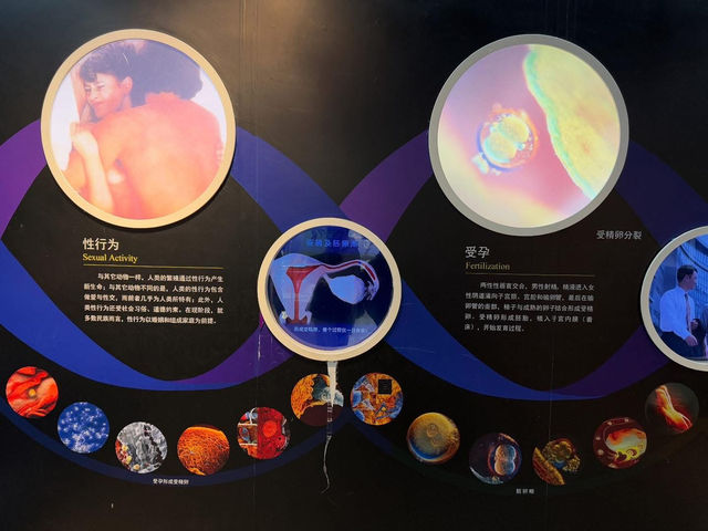 중국 베이징 자연사 박물관 입니다. 