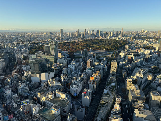 東京澀谷一日遊，感受活力與驚喜