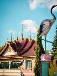 Discovering the Charm of Nayun Ancient Town 🏯