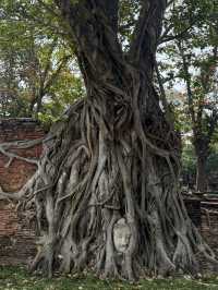 วัดมหาธาตุ อยุธยา – มรดกแห่งความขลังที่ห้ามพลาด