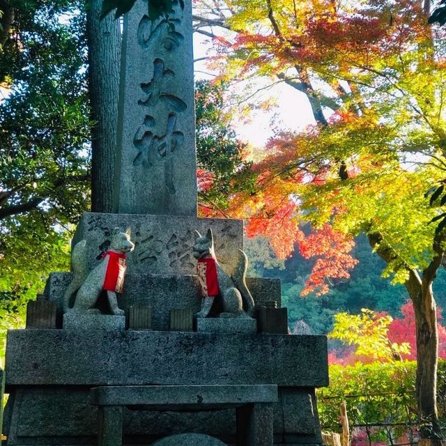 朱色の鳥居に包まれた心の旅