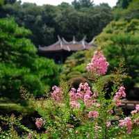 日本皇室的花園🌸🏯皇居東御苑