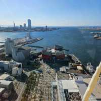 Tempozan Ferris Wheel (天保山大観覧車) – Best Views of Osaka Bay