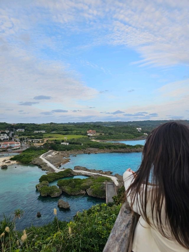 日本庭園を彷彿とさせる独特な世界観