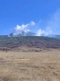 金黃草地的草千里之濱(阿蘇火山)
