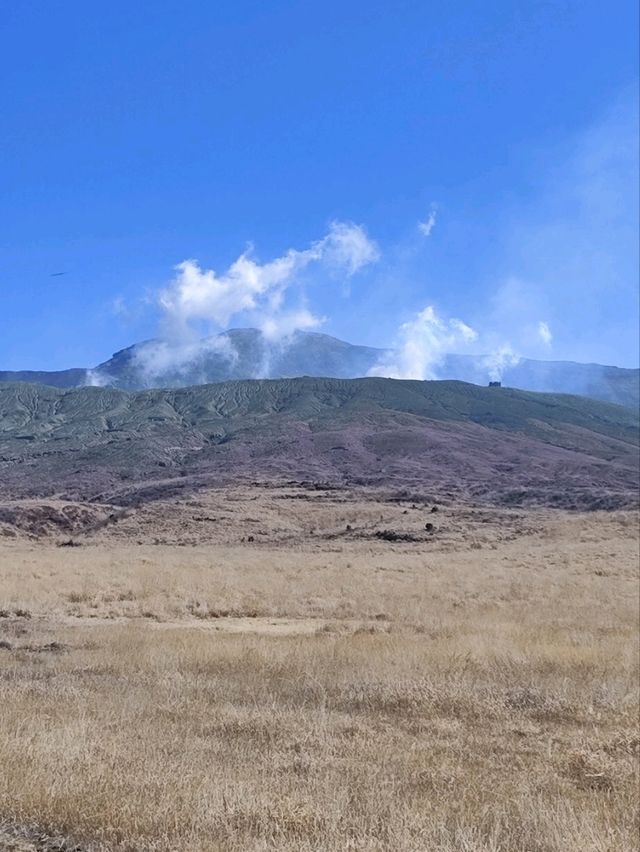 金黃草地的草千里之濱(阿蘇火山)