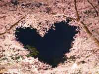 【青森県】日本一の桜の名所！弘前さくらまつり