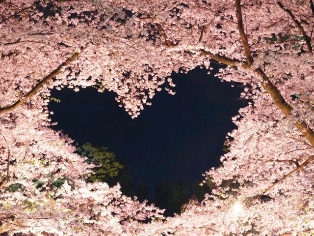 【青森県】日本一の桜の名所！弘前さくらまつり
