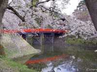【青森県】日本一の桜の名所！弘前さくらまつり