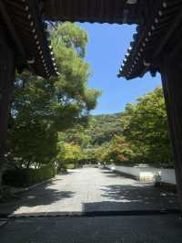 Eikando Temple: Kyoto’s Autumn Wonderland