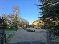 Leiden's Botanical Garden (Hortus Botanicus)