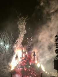 ✨ A Magical Day at Disneyland Paris! ✨