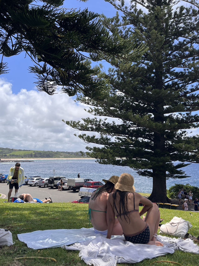 시드니 근교 꼭 가봐야하는 동네 카이아마 🌴✨